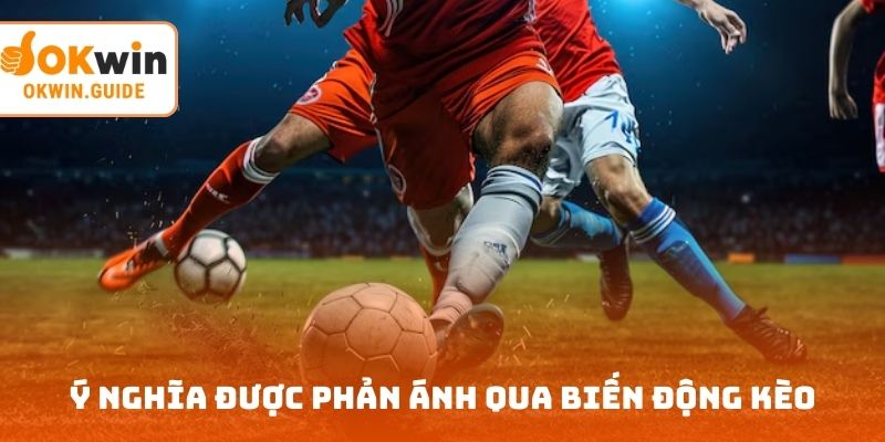 Ý nghĩa được phản ánh qua biến động kèo