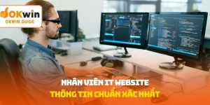 nhân viên IT website